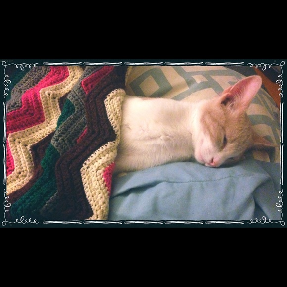 Meet your Posher, Sindy - Picture 5 of 6